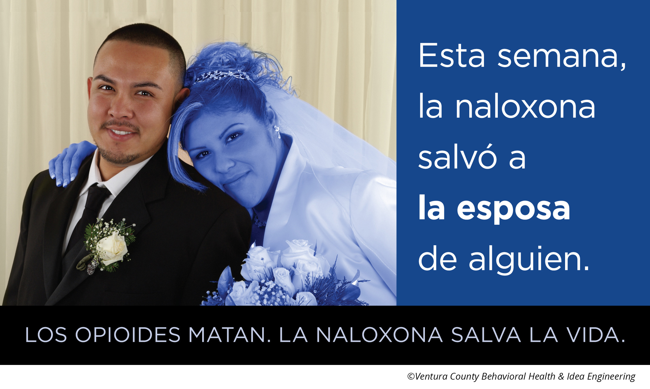 nalox esposa span leftcol